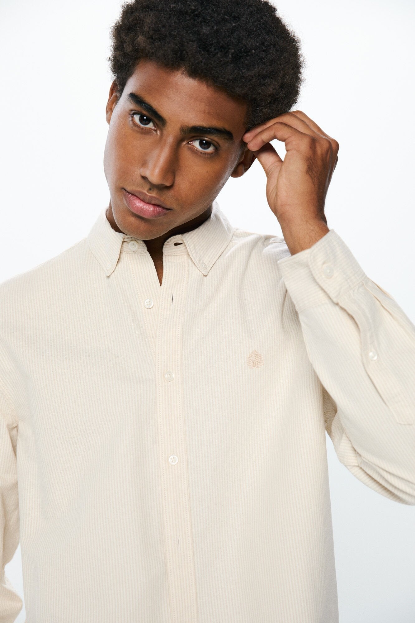Striped Oxford shirt