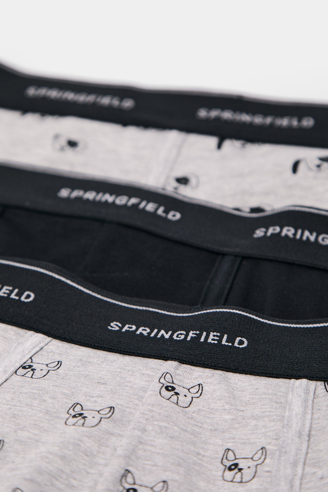 Pack of 3 boxer dogs