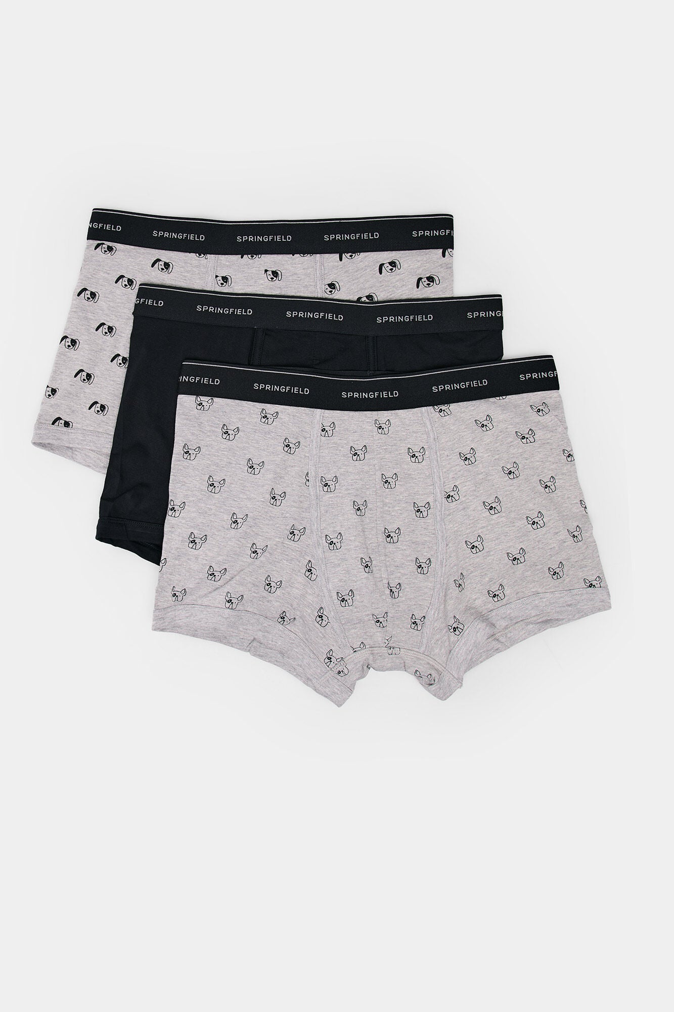 Pack of 3 boxer dogs