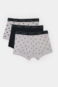 Pack of 3 boxer dogs