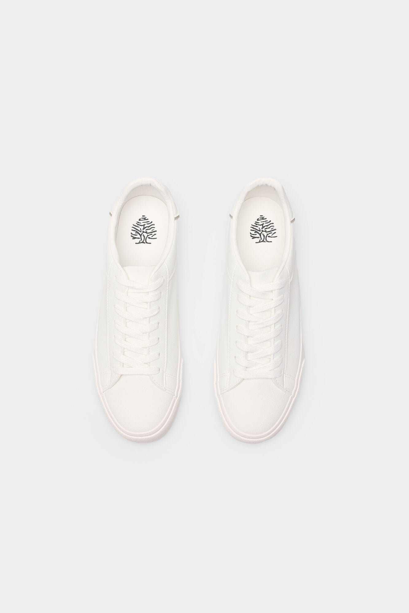Essential trainer