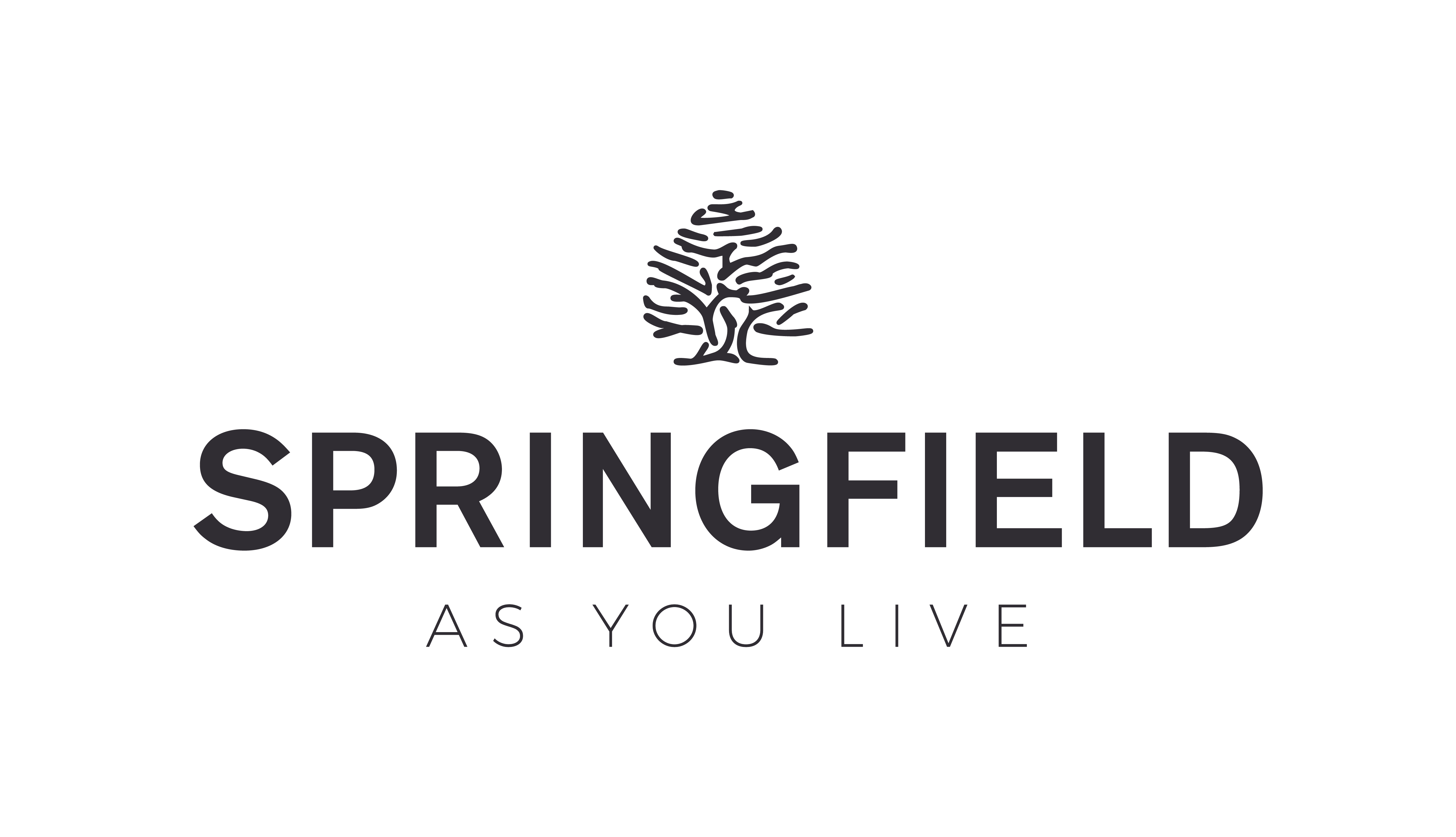 Springfield logo long socks