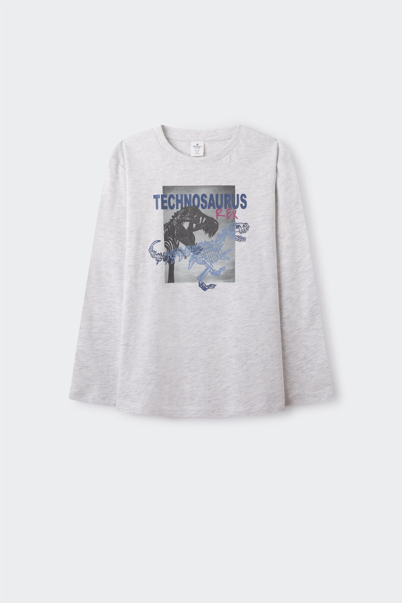 Boys' long sleeve T-shirt in a dinosaur print