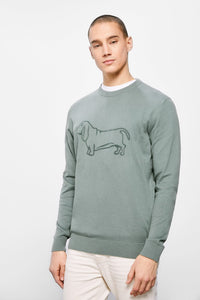 Dog jumper