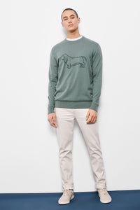 Dog jumper