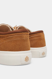 Trainers