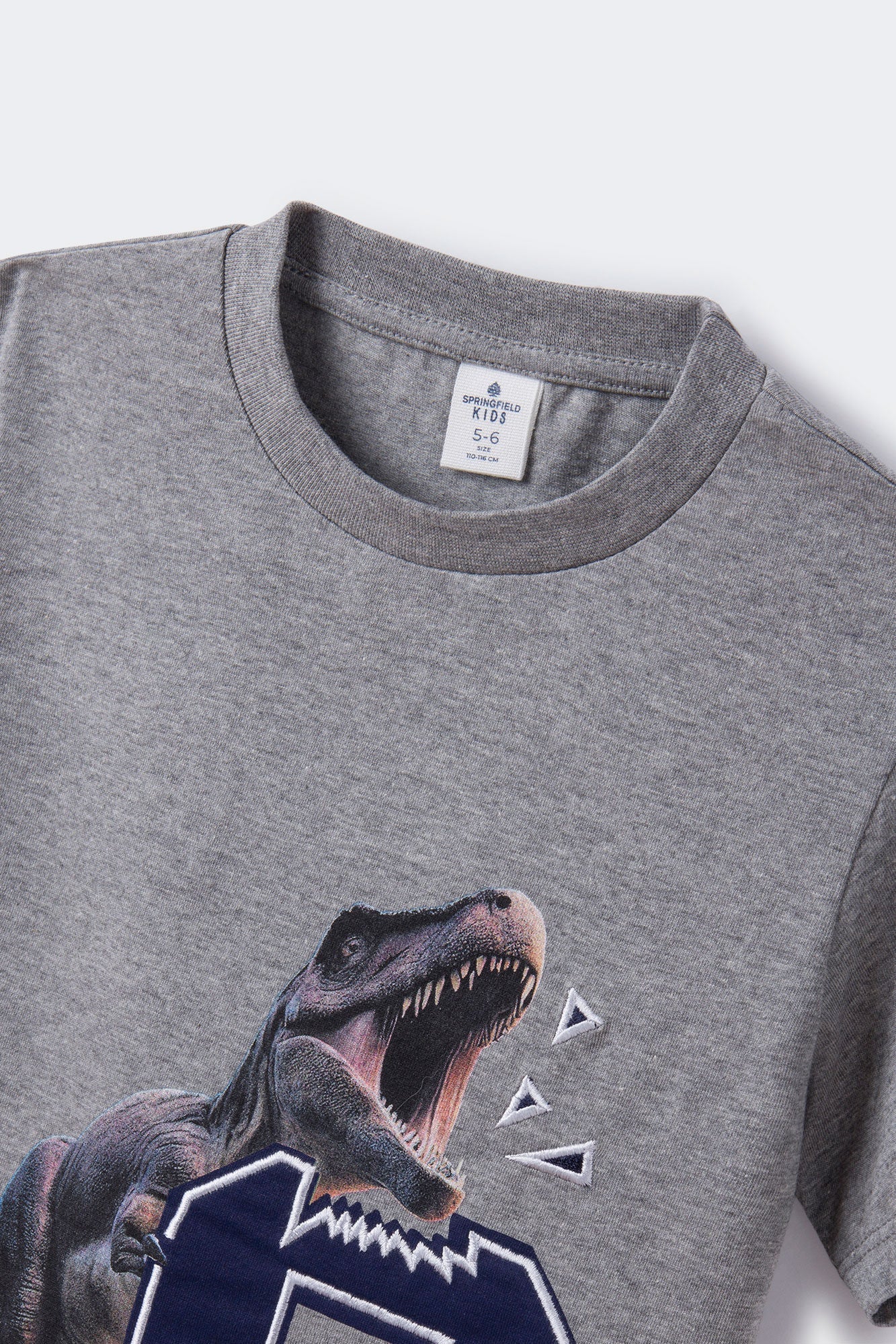 Boys' dinosaur print T-shirt