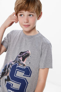 Boys' dinosaur print T-shirt